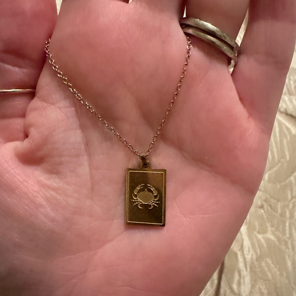 Ana Luisa Gold Vermeil Cancer Necklace